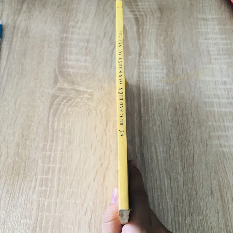 VŨ ĐỨC SAO BIỂN - oan khuất AQ 1029992