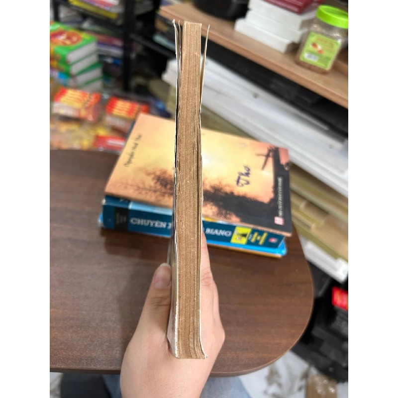 Ám Ảnh Một Tình Yêu - Phạm Kim Anh 934370