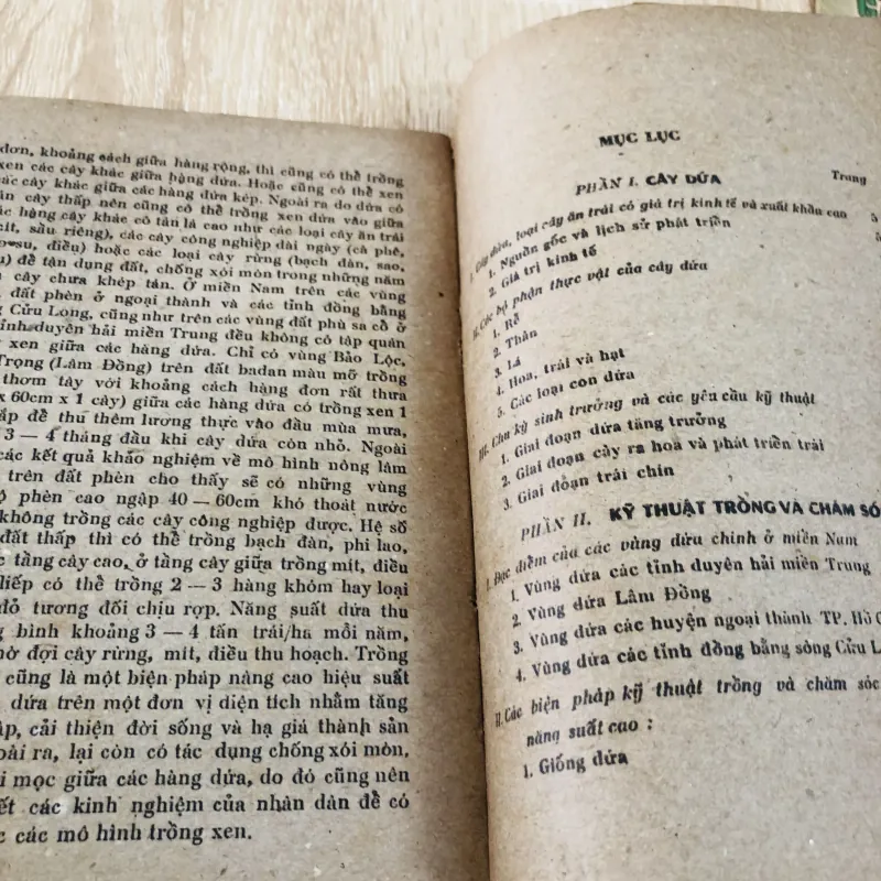 CÂY DỨA VÀ KỸ THUẬT TRỒNG DỨA Ở MIỀN NAM 956945