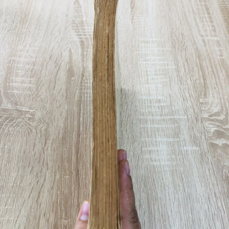 RONG BIỂN VIỆT NAM ( Phần phía Bắc) 956975