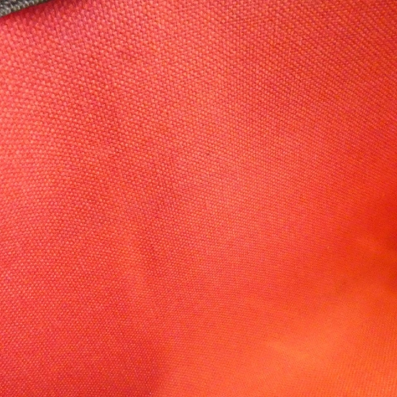 Túi xách vai Louis Vuitton Damier Eva N55213 608916