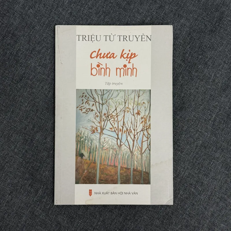Chưa kịp bình minh - Triệu Từ Truyền 1042856