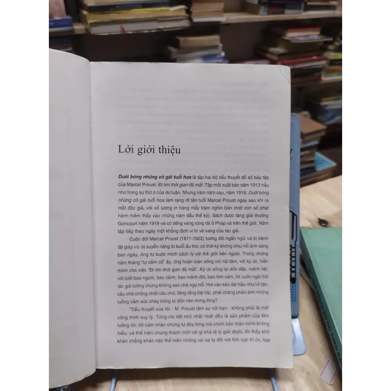 sách: Dưới bóng những cô gái tuổi hoa - Marcel Proust (A1) 566881