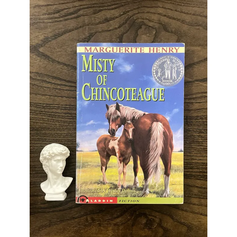 Misty of Chincoteague 972859