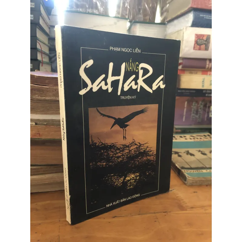 Nắng Sahara 1040329