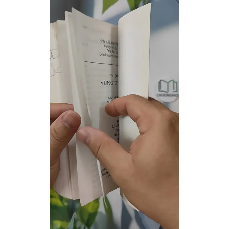 Vũng Thời Gian - Triệu Bôn 798341