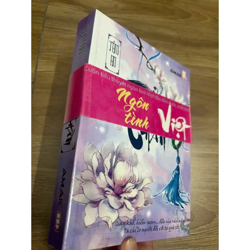 tiểu thuyết ngôn tình Việt- Tâm An 692811
