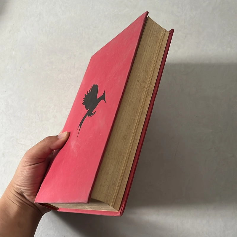 Catching fire - Collins 505306