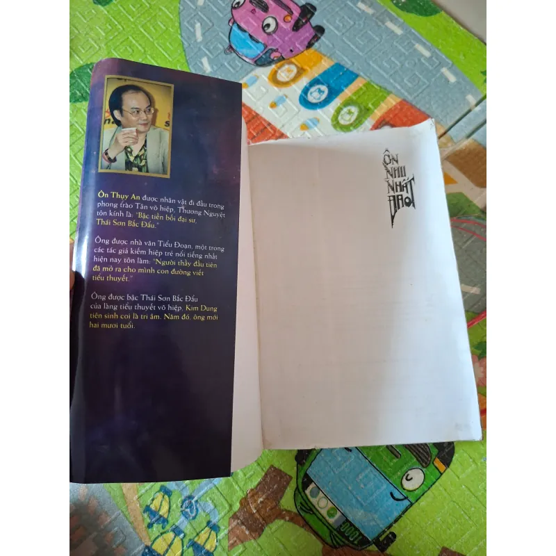 Ôn Nhu Nhất Đao 1000945