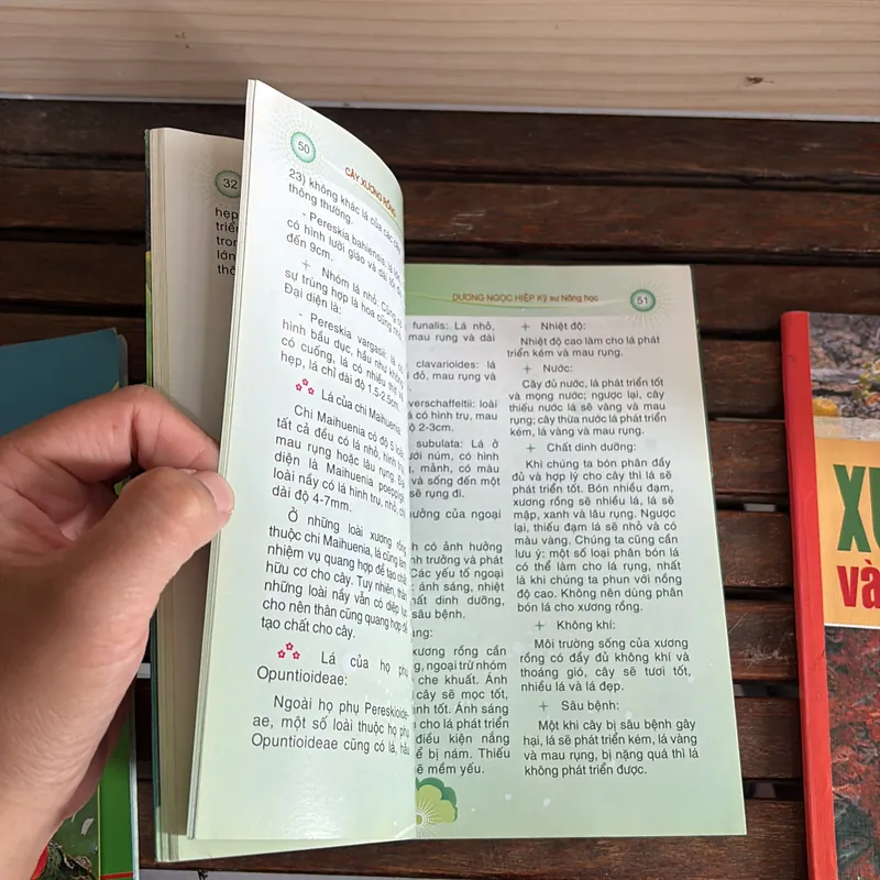 II Cây Cảnh: Xương Rồng Và Cây Mọng Nước (Sách Màu) - Dương Ngọc Hiệp 718583