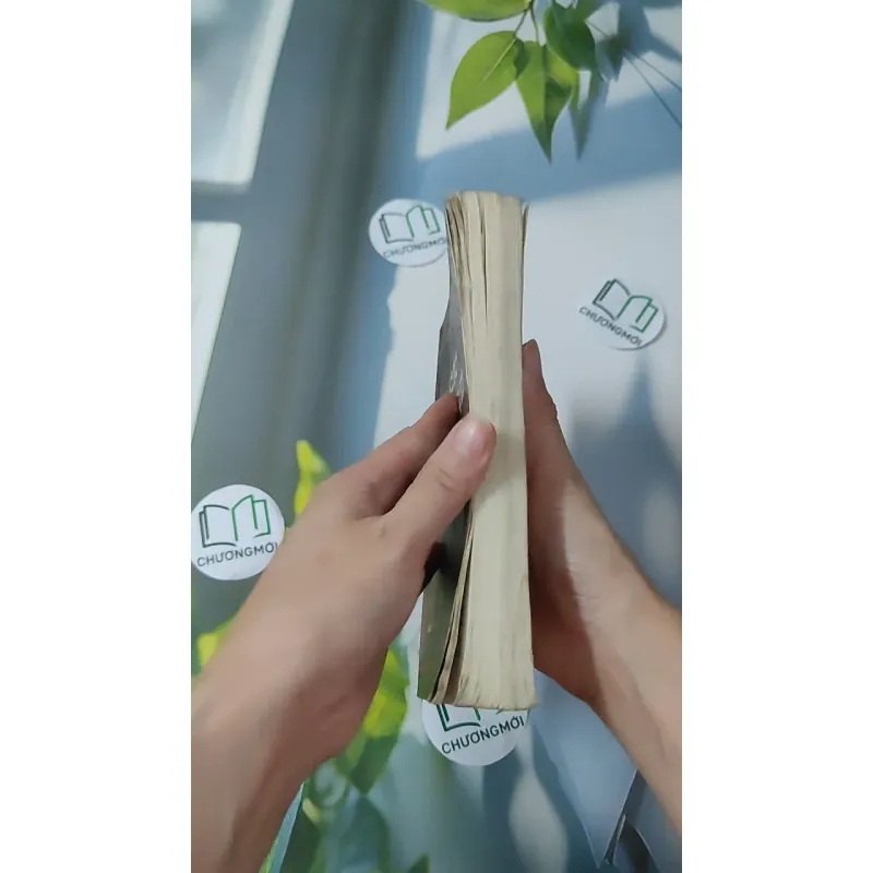 Các Triều Đại Việt Nam - Quỳnh Cư & Đỗ Đức Hùng 970265