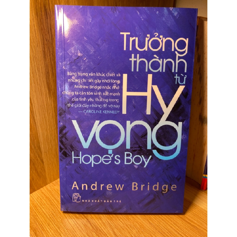 TRƯỞNG THÀNH TỪ HI VỌNG -Tác giả: Andrew Bridge -NXB Trẻ 2009- Sách lưu kho còn mới 461156