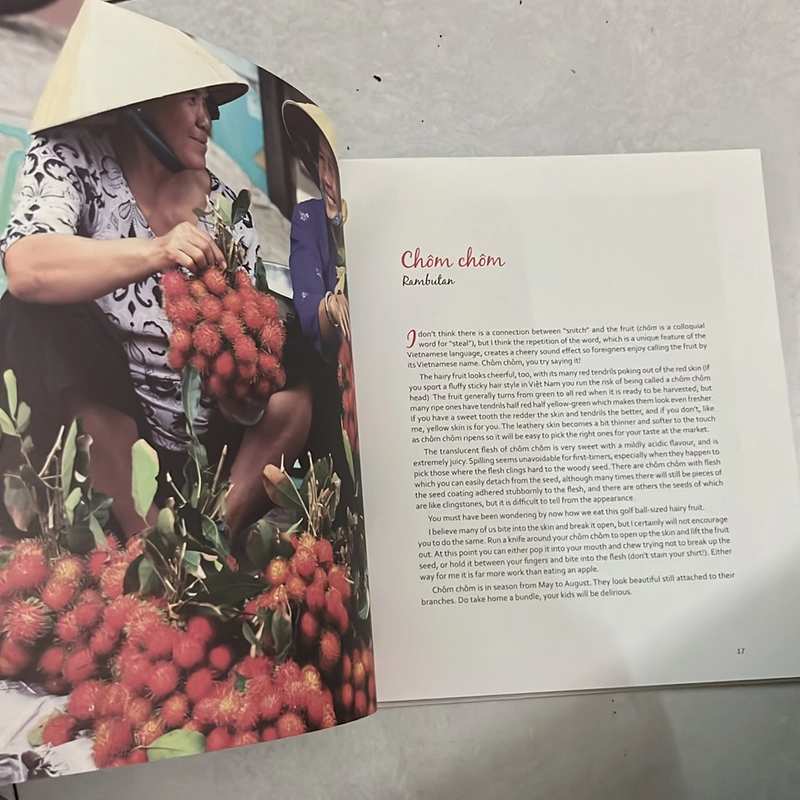 Vietnamese fruit & other Stories - Cao Thị Lan Phương 507656