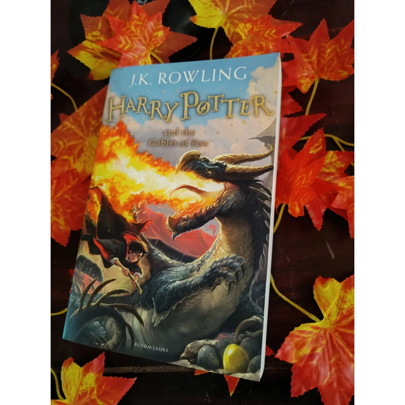 Harry Potter and the Goblet of Fire Paperback  224157