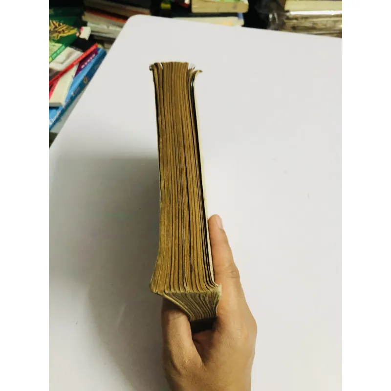 VĂN HỌC VIỆT NAM – ĐỐI KHÁNG TRUNG HOA (Từ đầu đến 1428) 795862