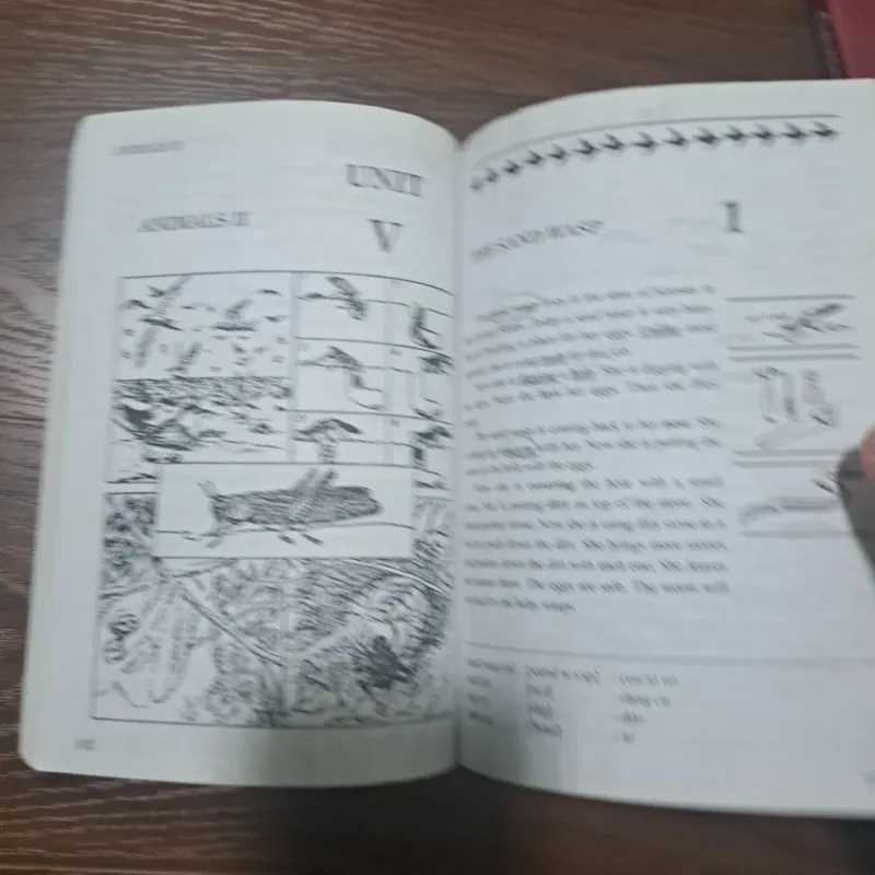 Facts & Fingure (3rd edition) - Patricia Ackert 805612