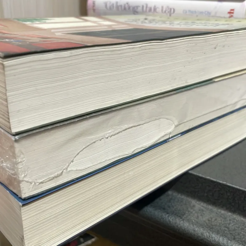 Nguỵ chứng của Solomon - Miyabe Miyuki ( tiểu thuyết trinh thám ) ( 3 tập ) 1009093