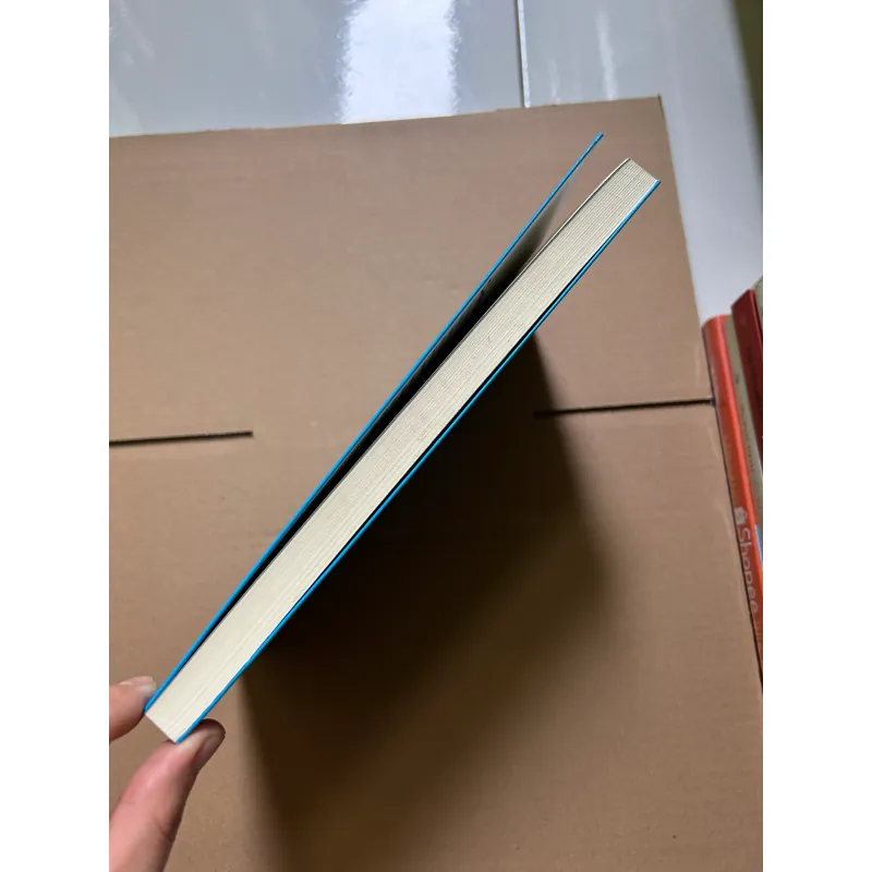 Siêu năng suất - Chris Bailey 750105