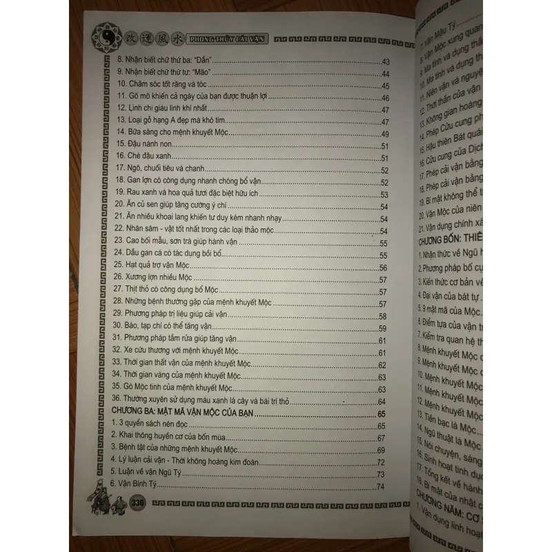 Phong thuỷ cải vận - Dành cho mệnh khuyết Mộc, Hoá 701568