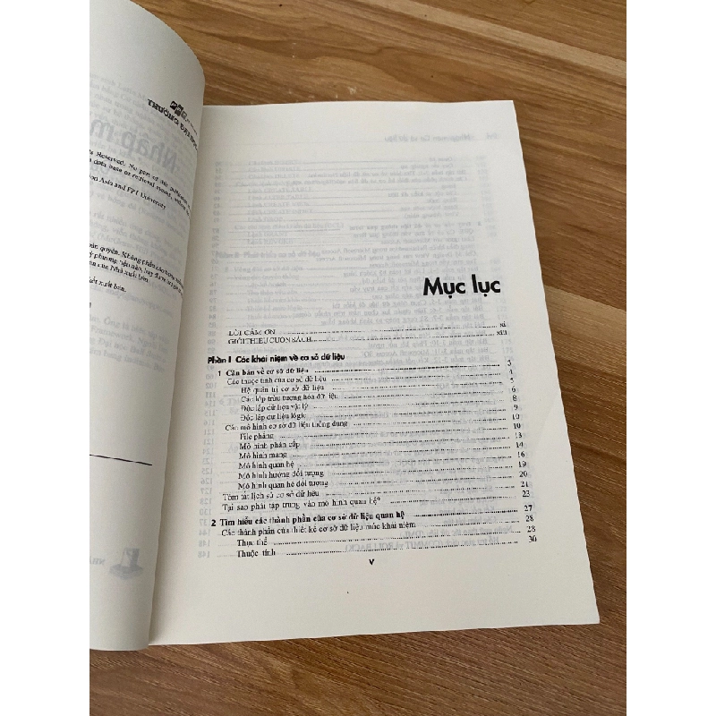 Nhập Môn Cơ Sở Dữ Liệu - Andy Oppel 538297
