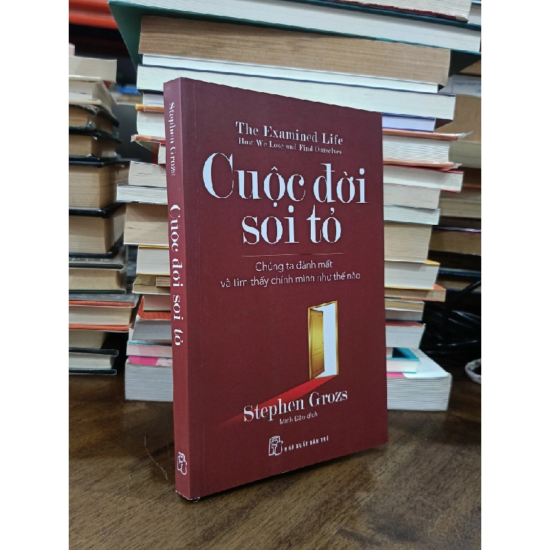 Cuộc đời soi tỏ - Stephen Grozs (Minh Đào dịch) 506650