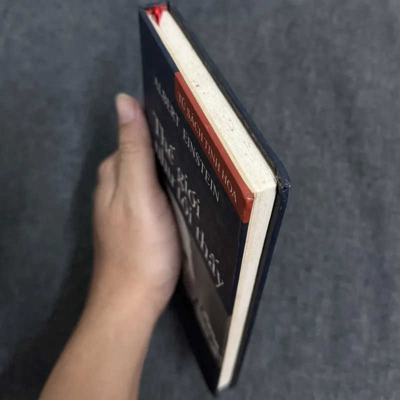 Thế giới như tôi thấy (Bìa cứng) - Albert Einstein 926648