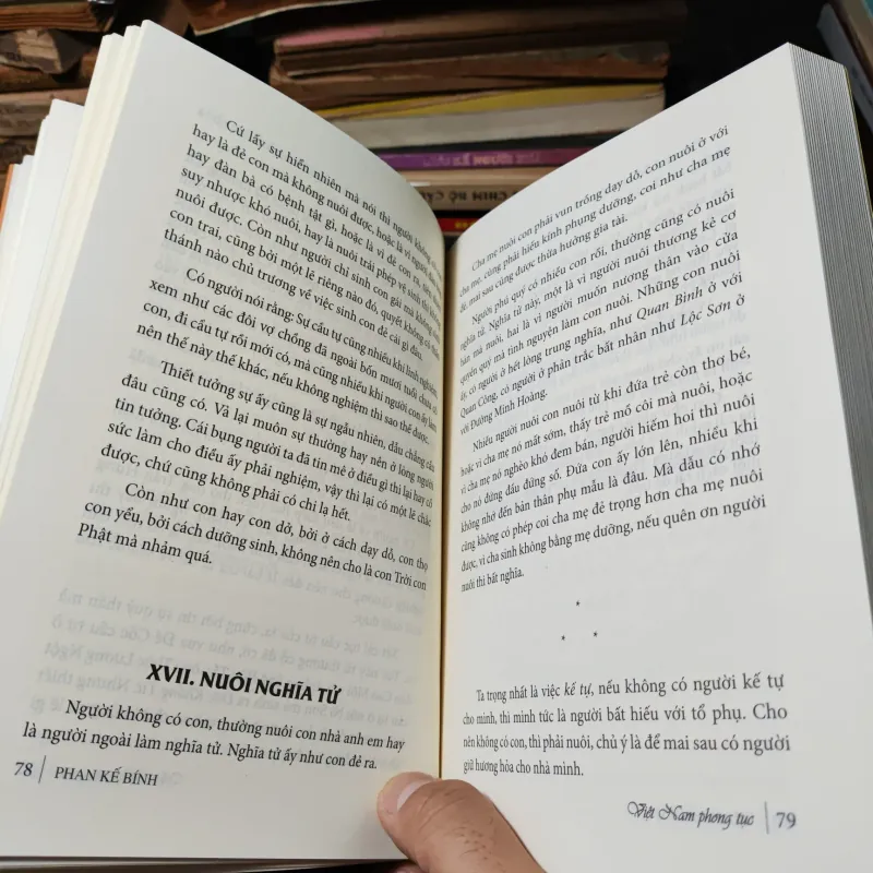 Việt Nam Phong Tục - Phan Kế Bính 1021139