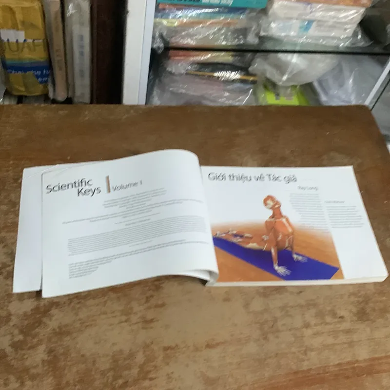 CÁC CƠ CHÍNH TRONG YOGA - RAY LONG  935200