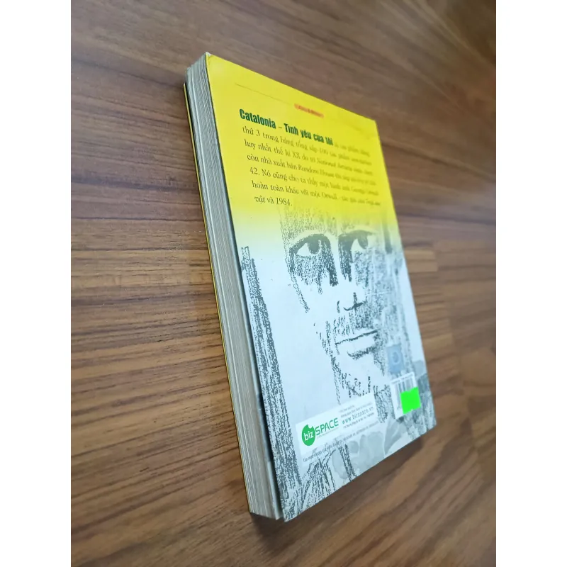 Catalonia tình yêu của tôi (George Orwell) 1046809