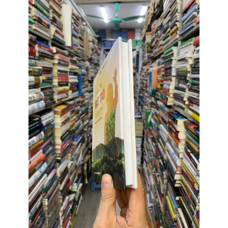 Vươn tới mặt trời - nguyễn thị thạch thảo 549963