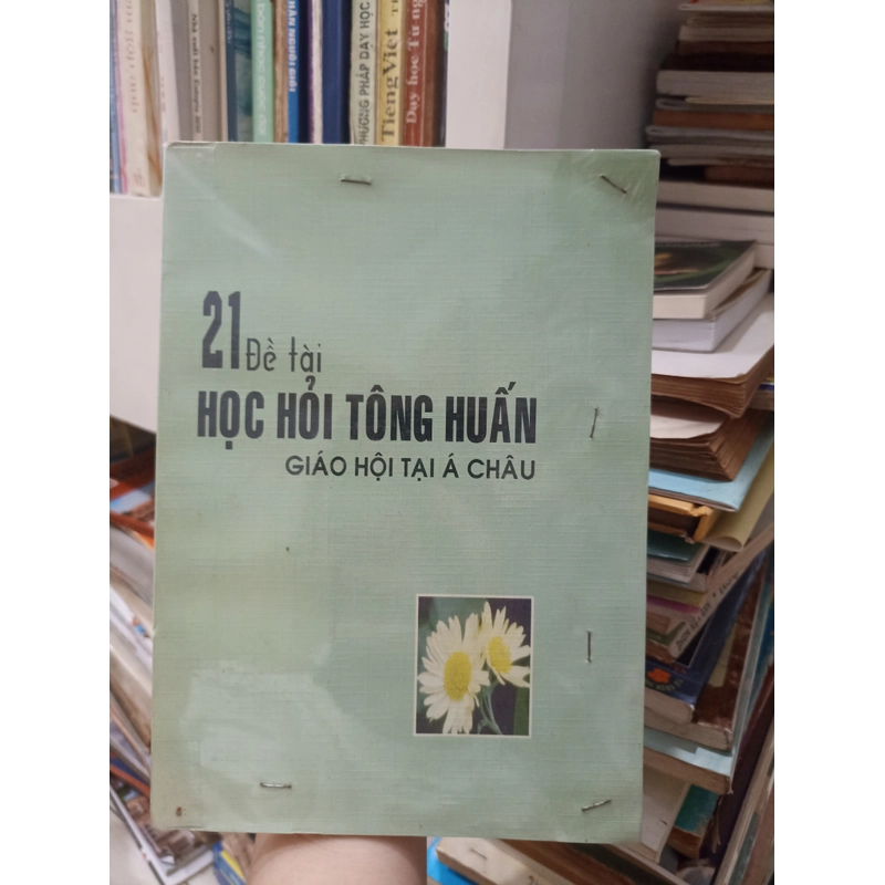 21 Đề Tài Học Hỏi Tông Huấn Giáo Hội Tại Á Châu 🌻 506549