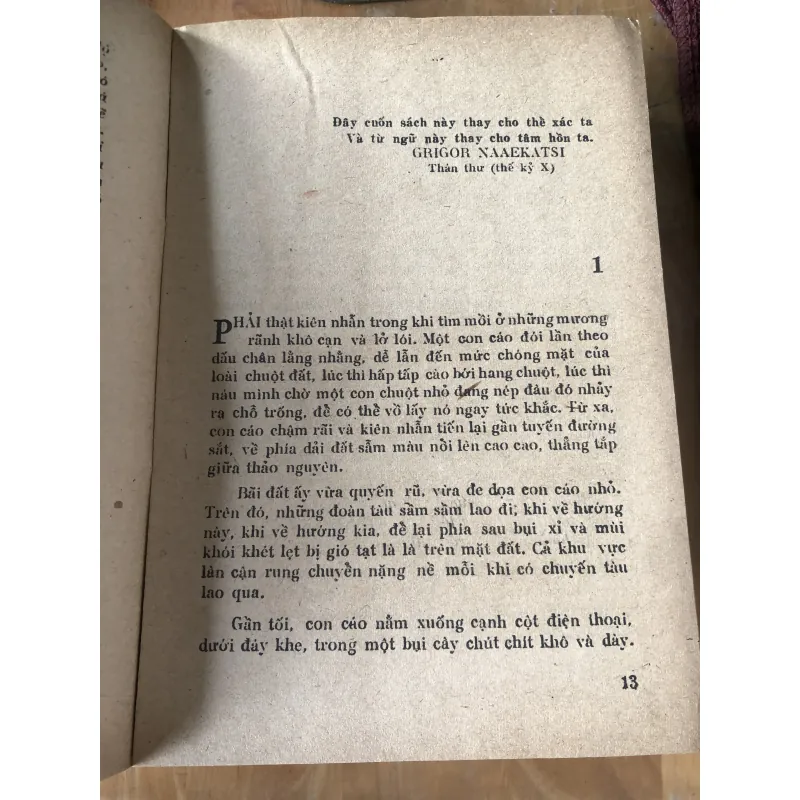 Một ngày dài hơn thế kỷ-tiểu thuyết 973866