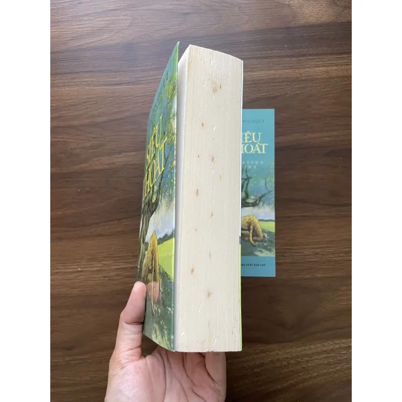 Siêu thoát - Jodi Picoult 974314