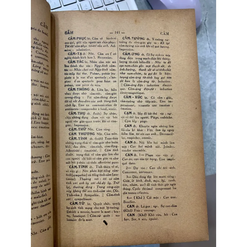 VIỆT NAM TÂN TỪ ĐIỂN 931263