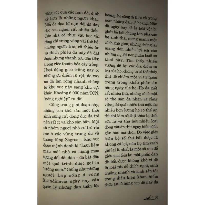 IRAQ Chặn đường lịch sử  749621