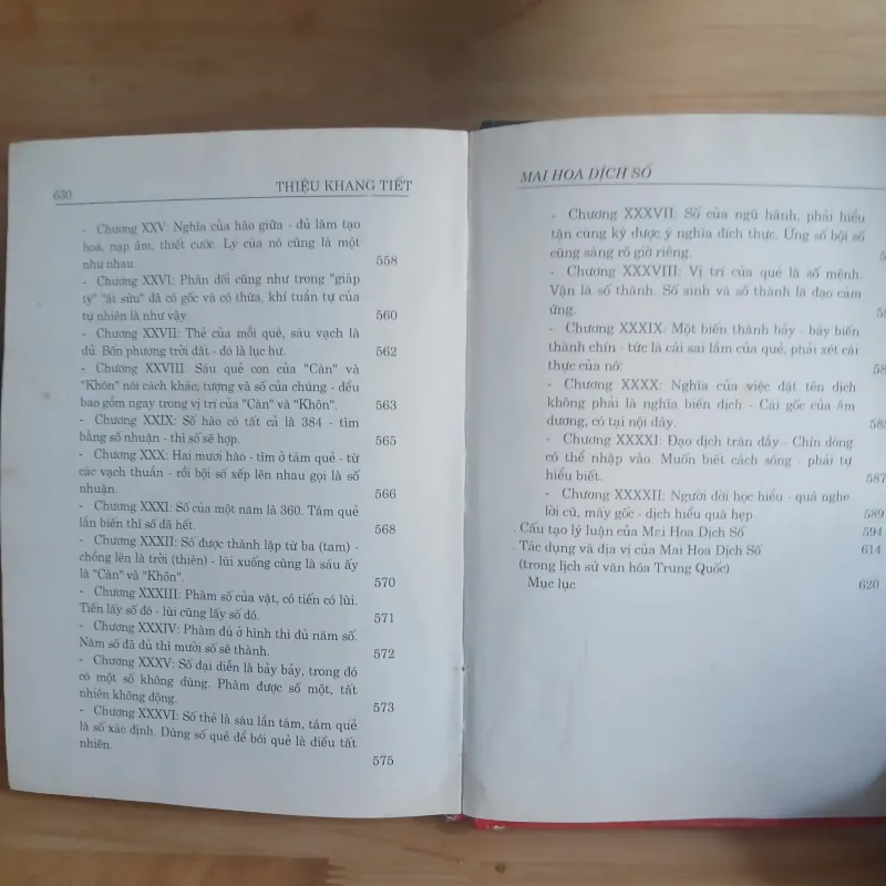 Mai Hoa Dịch Số - Thiệu Khang Tiết 1005355