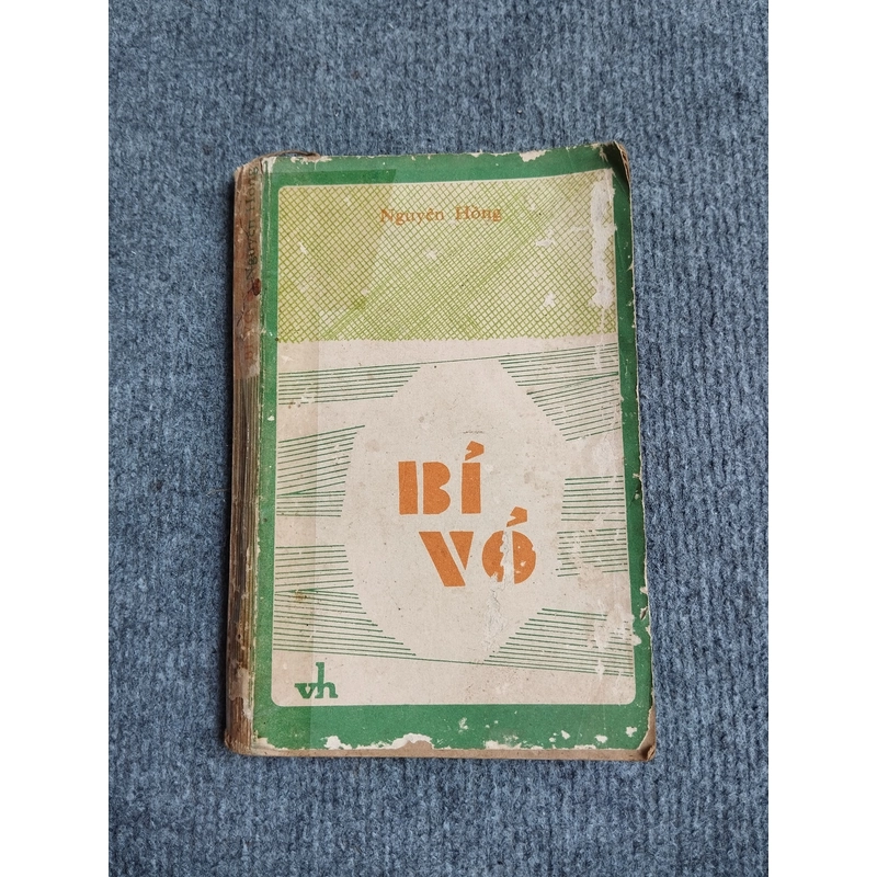 BỈ VỎ - NGUYÊN HỒNG 540669