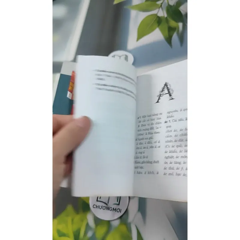 Từ Điển Chính Tả Tiếng Việt 727289