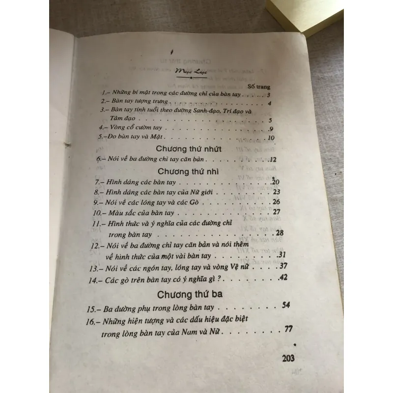 Những chỉ bí mật trong bàn tay 781035
