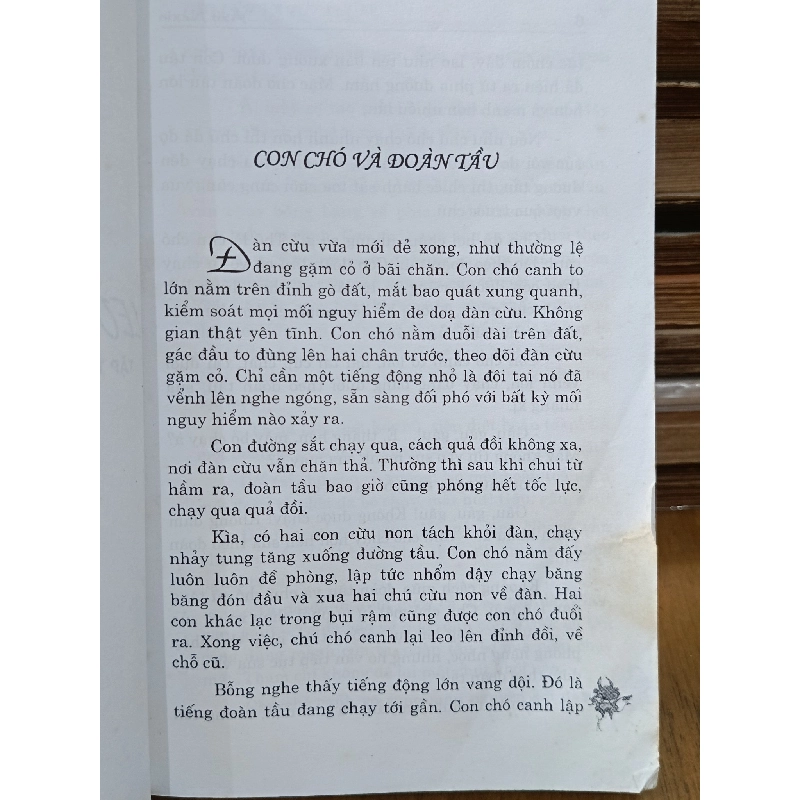 Leo lên và tụt xuống - Azit Nêxit (Nguyễn Chí Được dịch) 1011368