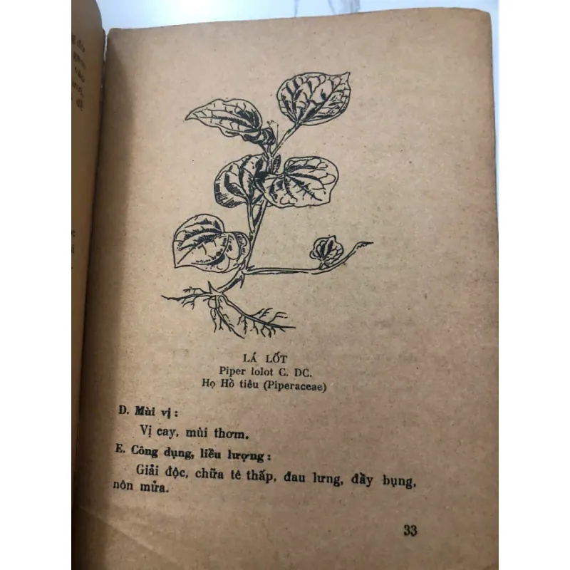 Cây thuốc và bài thuốc trị bảy bệnh thông thường – Nhiều tác giả 998411