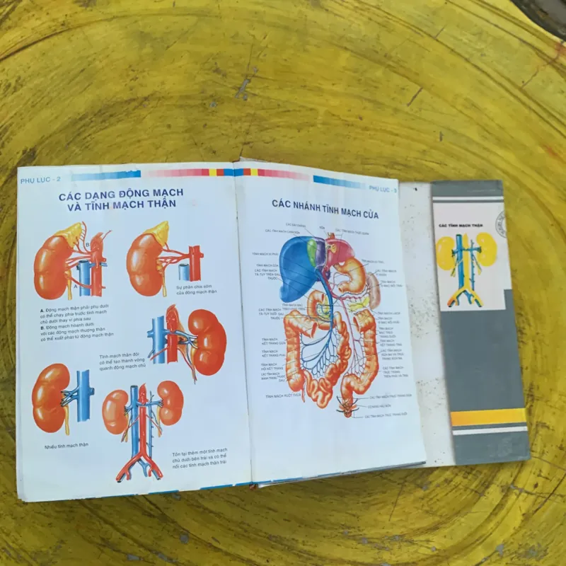 TỪ ĐIỂN Y HỌC ANH - VIỆT  nhà xuất bản từ điển Bách Khoa 790404