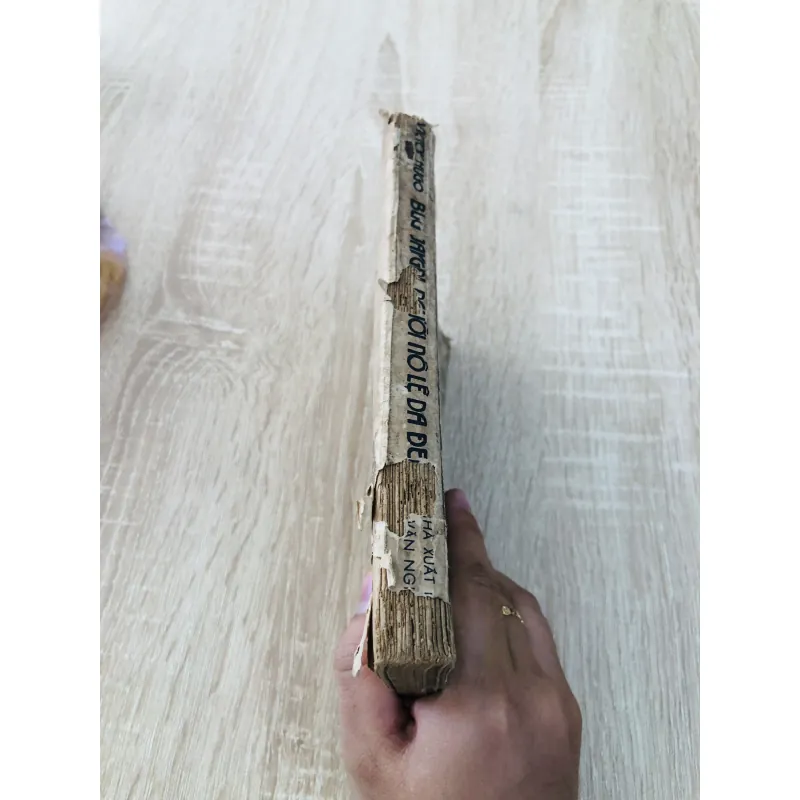 BUG JARGAN NGƯỜI NÔ LỆ DA ĐEN 961418