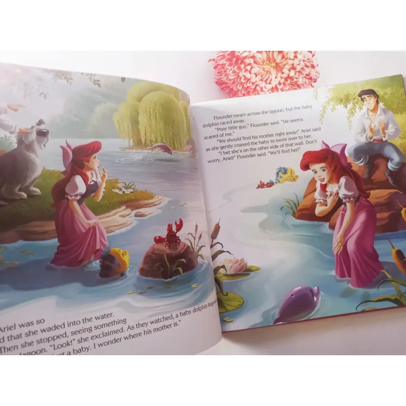 Disney Princess Storybook Collection 961402