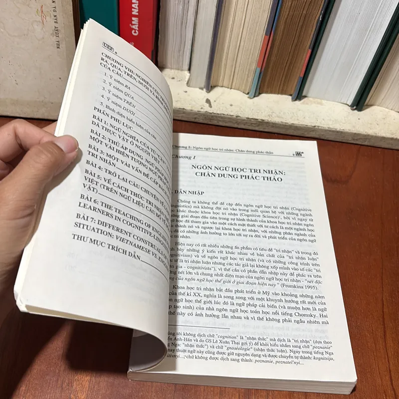 II Ngôn Ngữ Học Tri Nhận _ Từ Lý Thuyết Đại Cương Đến Thực Tiễn Tiếng Việt - Lý Toàn Thắng 722510