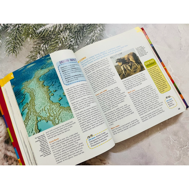 Scholastic Children’s Encyclopedia- Bách khoa toàn thư dành cho trẻ em 550625