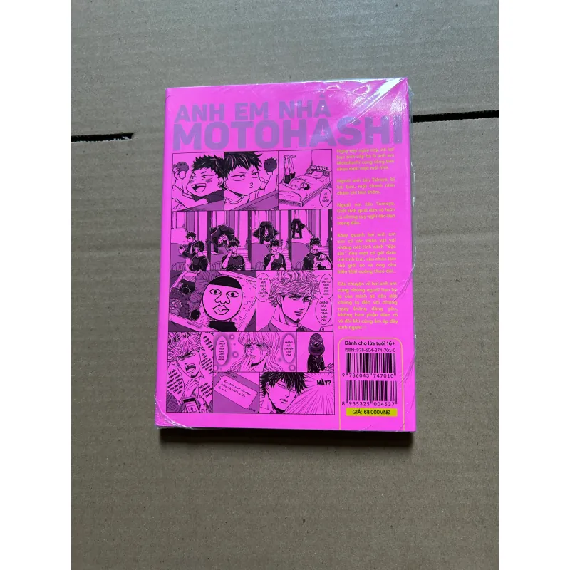 Anh em nhà Motohashi 1 990250