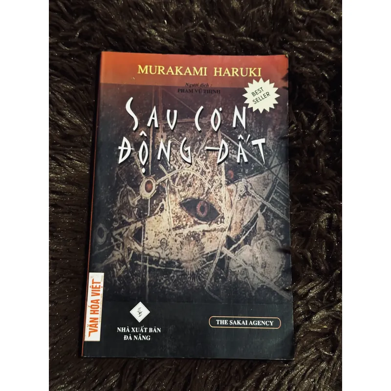 Sau cơn động đất 709321