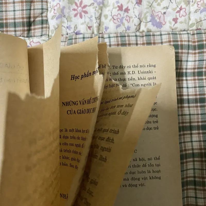 Giáo trình đào tạo giáo viên THSP mầm non hệ 12 + 2 788585