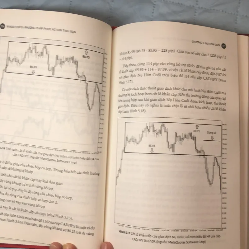 Naked Forex- Phương pháp Price Action tinh-Sách Đầu Tư Forex 739101